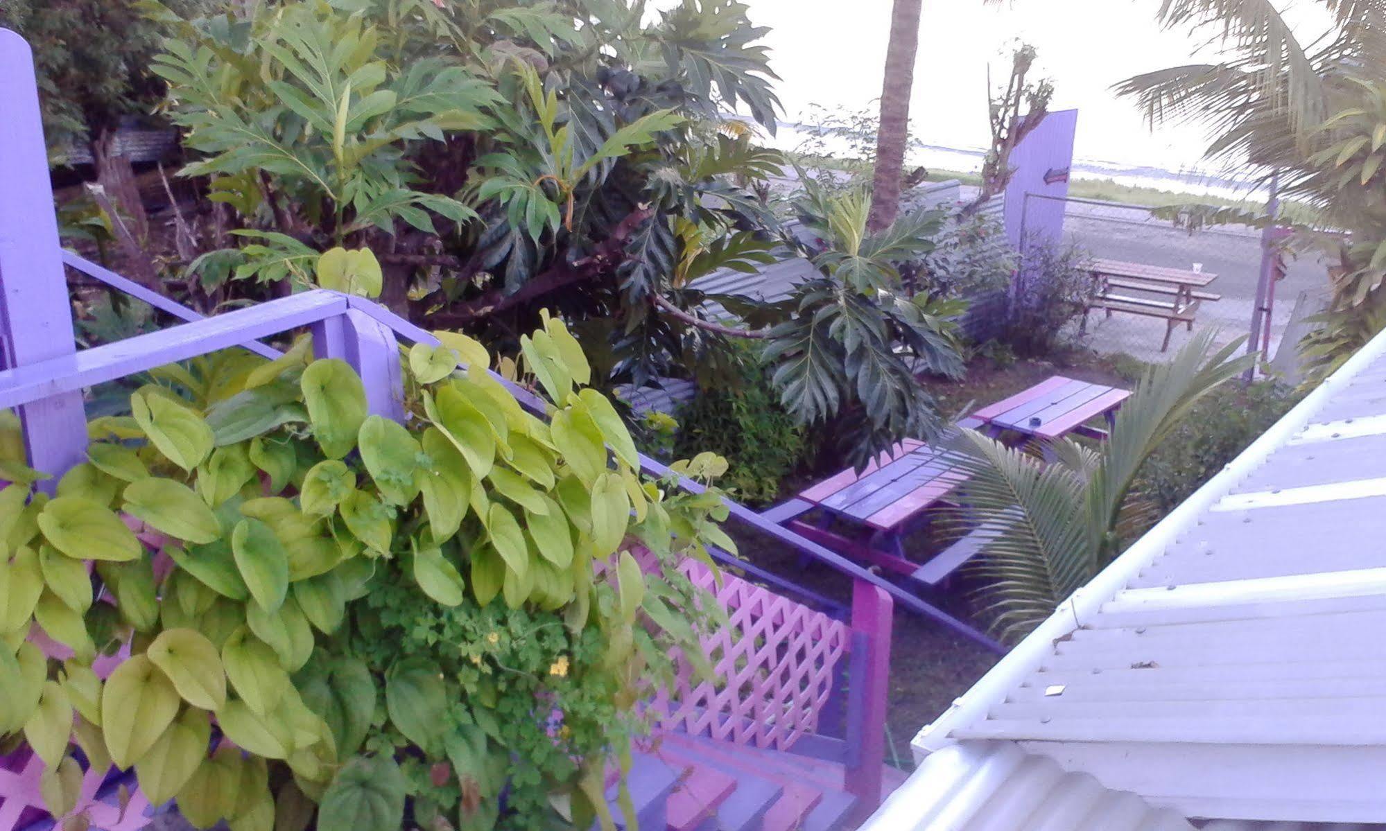 Somewhere Special Guesthouse Gros Islet Bagian luar foto